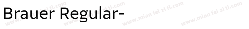Brauer Regular字体转换